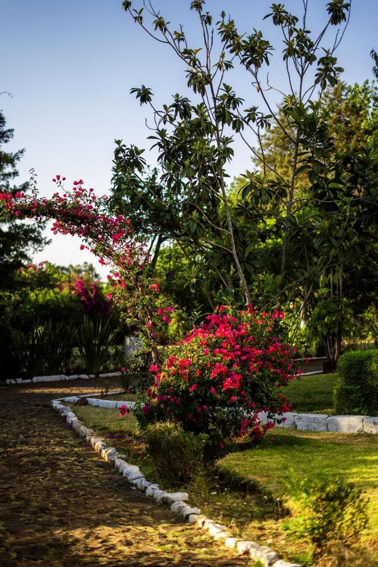 Best Western Plus Posada De Don Vasco Pátzcuaro Exteriör bild Bougainvillea